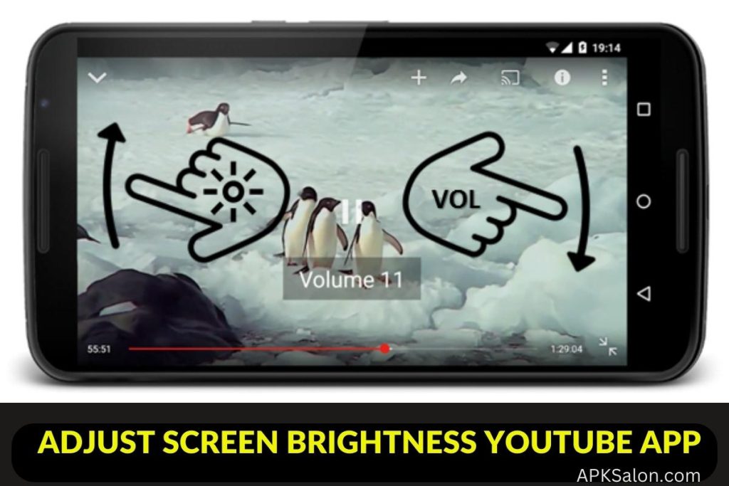 Adjust Screen Brightness youtube app