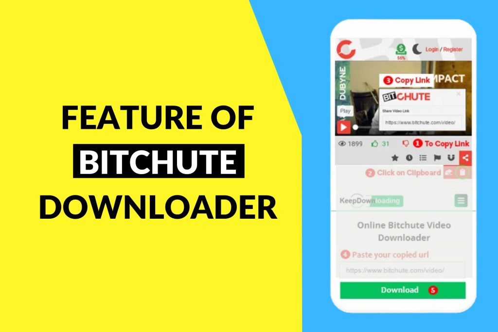 Feature Of Bitchute Downloader